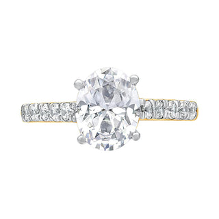 The Cathedral Oval Ring with in 925 Sterling Silver Ring for Girlfriend - Adila Jewels