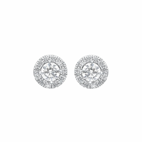 Amara Halo Moissanite Stud Earrings
