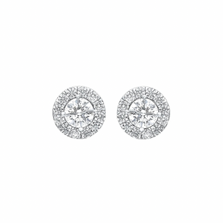 Amara Halo Moissanite Stud Earrings