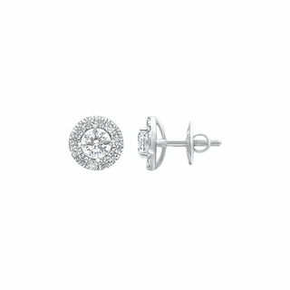 Amara Halo Moissanite Stud Earrings