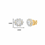 Isla Oval Halo Moissanite Stud Earrings