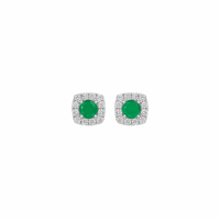 Pine Pop Halo Stud Earrings