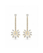 Devina Pichwai Long Earrings