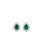 Apple Rush Halo Stud Earrings