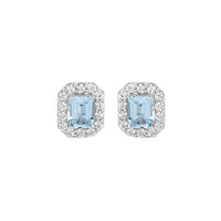 Blue Rani Stud  earrings for women - Virika | Adila Jewels