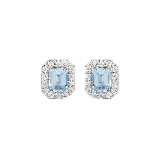 Blue Rani Stud  earrings for women - Virika | Adila Jewels