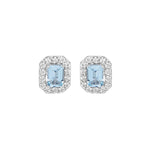 Blue Rani Stud  earrings for women - Virika | Adila Jewels