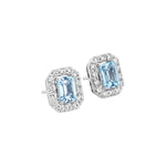 Blue Rani Stud  earrings for women - Virika | Adila Jewels