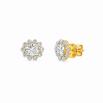 Isla Oval Halo Moissanite Stud Earrings