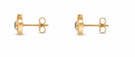Raksha Eye Earrings