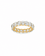 Inara Oval Moissanite Eternity Band