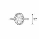 The Halo Oval Moissanite Ring