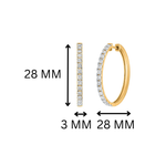 Orla Classic Hoop Earrings